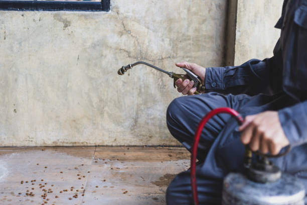 Wasp Removal Services in Durham, OR